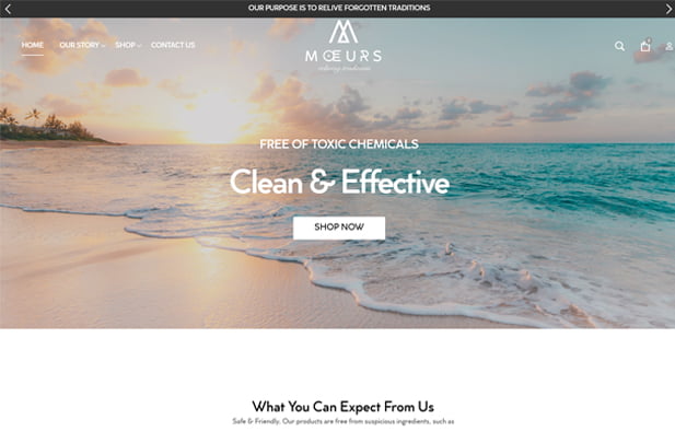 Meuos Mock Website Mockup