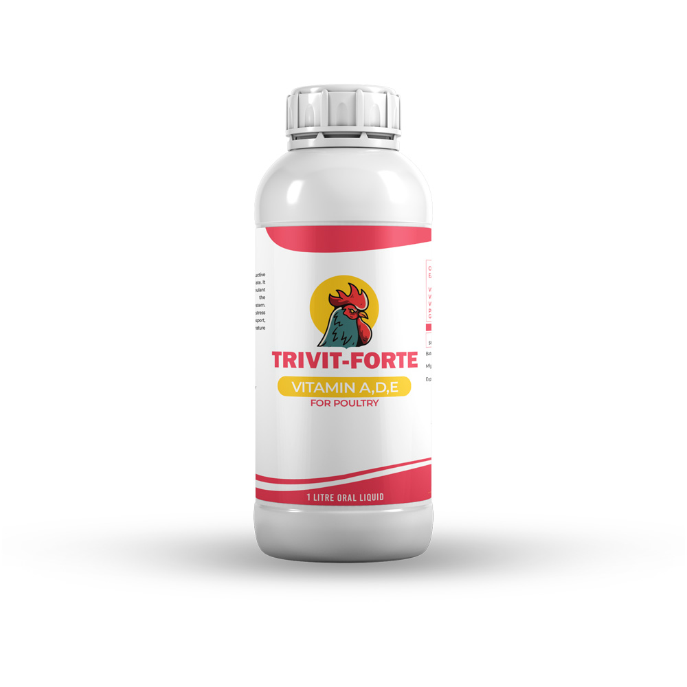 Packaging Design