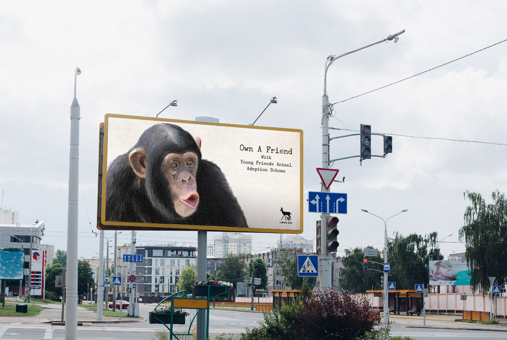 Zoo Hoarding Design
