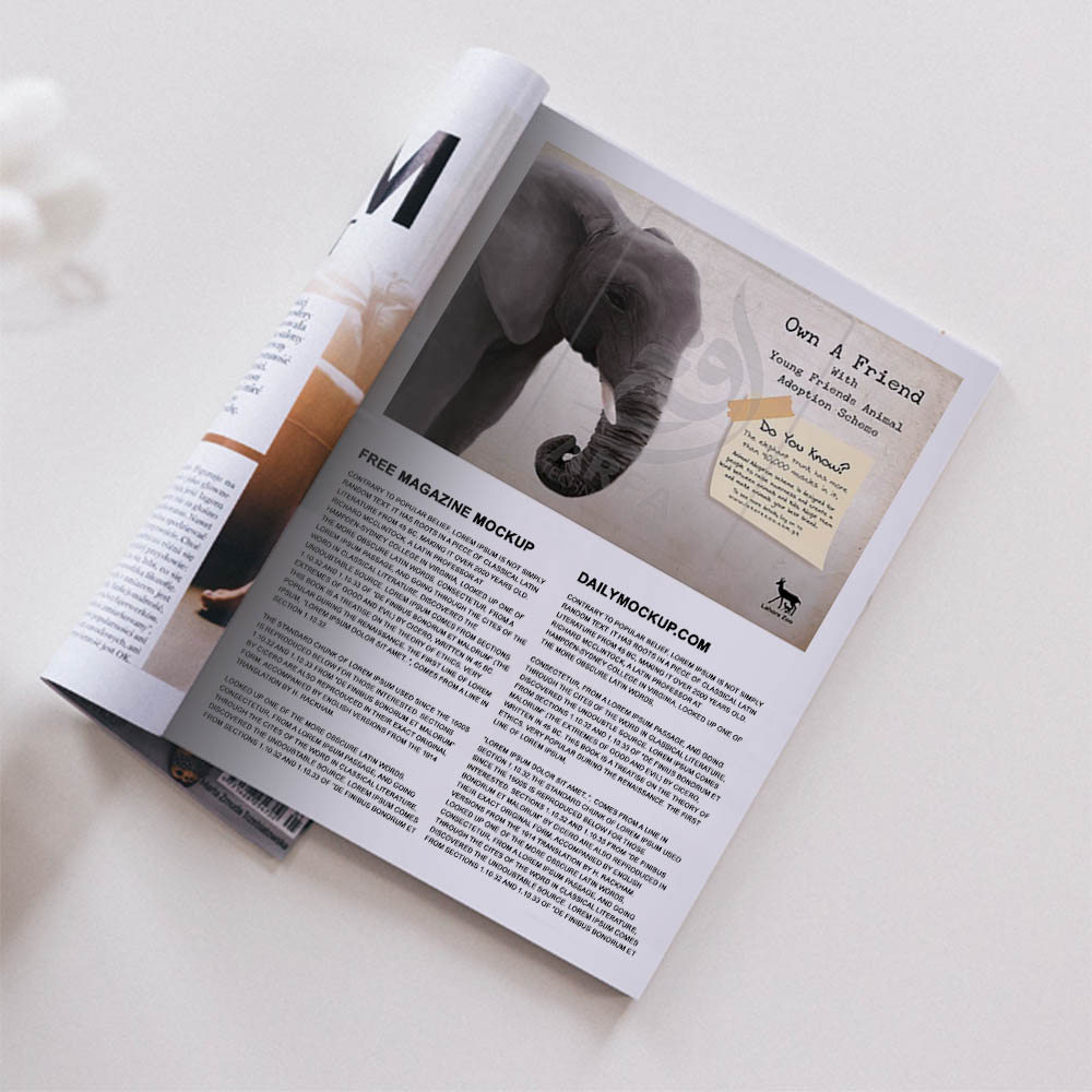 Magazine AD Design